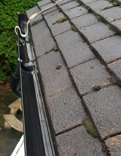 Gutter Cleaning | Gutter Repairs | Gutters Cleaning London